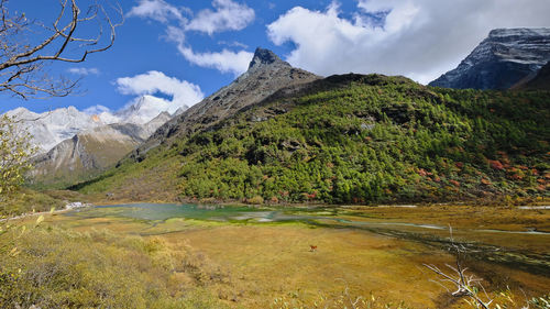 Luorong pasture of yading, china