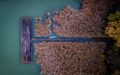 Plants growing by lake during autumn