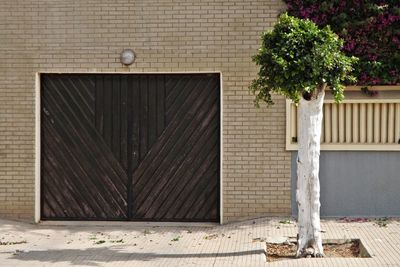 Closed gate against trees