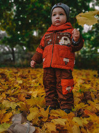 Cute boy standing on autumn leaves