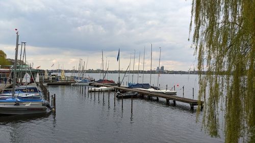Boats moored at harbor