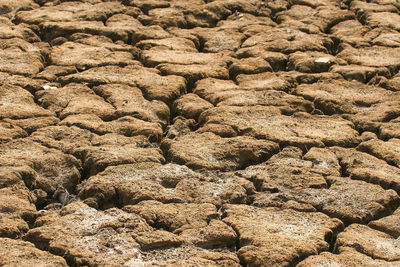 soil