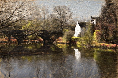 Reflection of trees in water