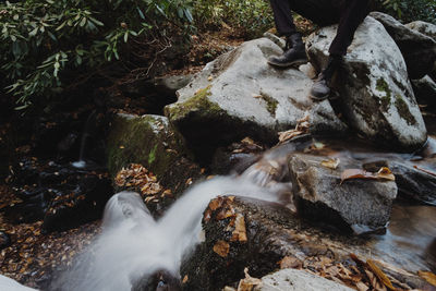 High angle view of waterfall in forest