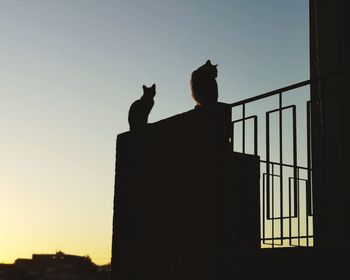 Low angle view of silhouette birds against sky