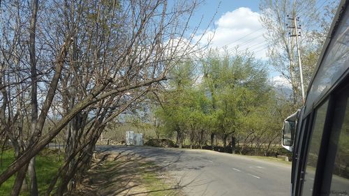 Road passing through forest