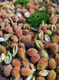 Full frame shot of fruits at market