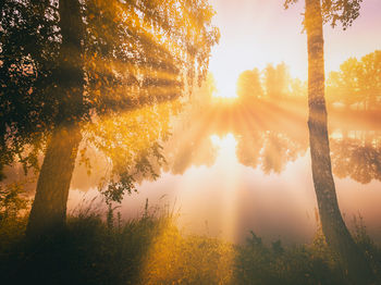 Dawn on a lake