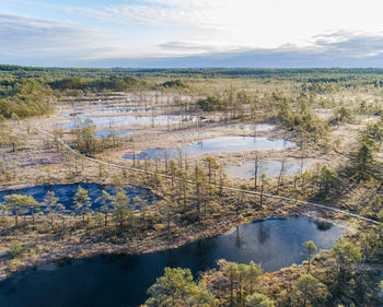 Aerial of viru raba or bog swamp at lahemaa national park in autumn