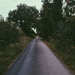 Road passing through trees