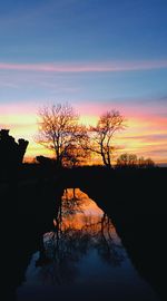 Silhouette of bare trees at sunset