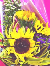 Close-up of colorful flowers