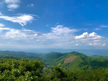 Scenic view of agricultural landscape against sky