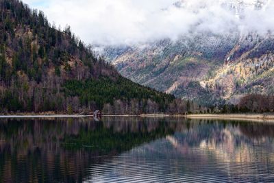 Scenic view of lake by trees against sky