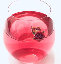High angle view of a drink in glass