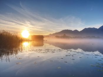 Purple sunrise at calm kochelsee lake in bavaria germany. long shadows and water lily leaves on lake