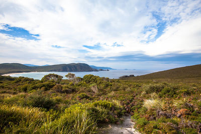 Scenic view of land and sea against sky