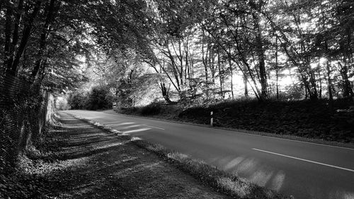 Road amidst trees in forest