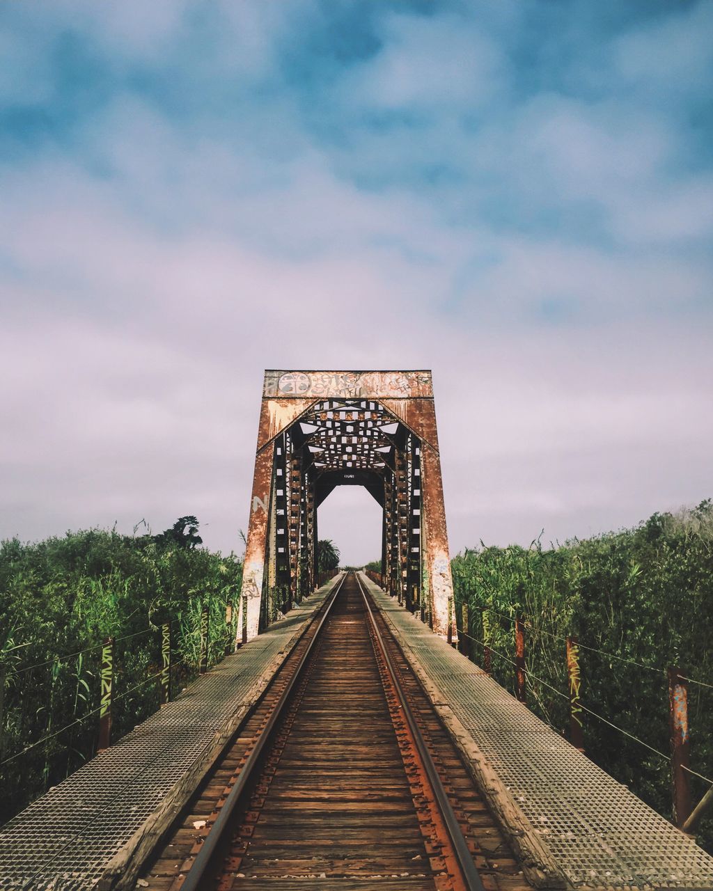 railroad track, transportation, rail transportation, the way forward, connection, built structure, tree, sky, architecture, public transportation, bridge - man made structure, diminishing perspective, straight, railway bridge, track, engineering, tunnel, cloud, iron - metal, vanishing point, cloud - sky, arch, day, surface level, outdoors, railway track, railroad, growth, parallel, cantilever bridge, tranquility