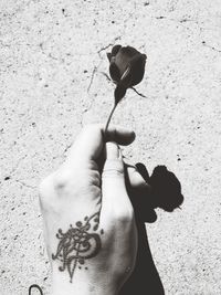 Low section of man holding flower