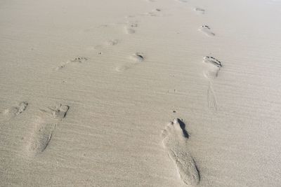 High angle view of footprints on sand