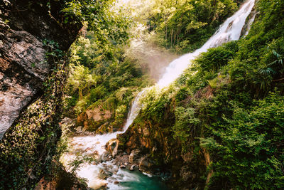 Scenic view of waterfall in forest