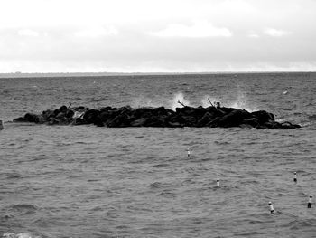 Scenic view of sea against sky