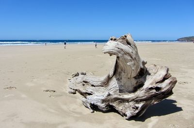 Driftwood on beach by sea against clear sky
