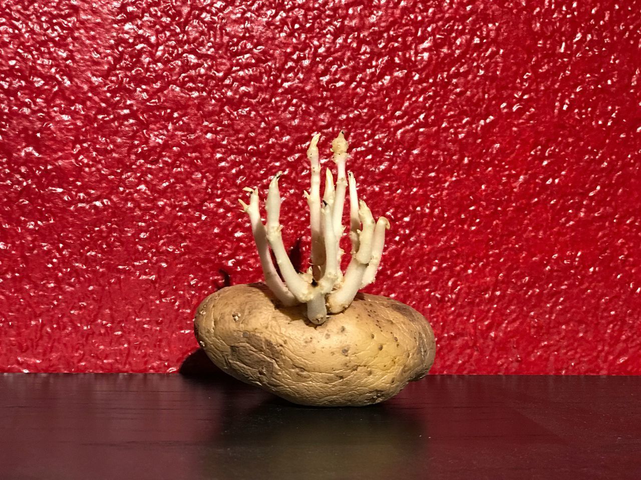 CLOSE-UP OF APPLES ON TABLE