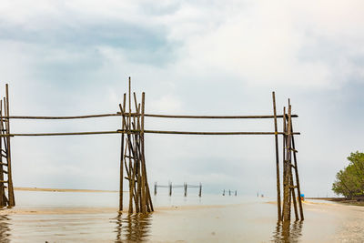 Cranes on beach against sky