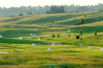 Scenic view of farm against sky