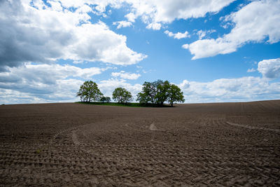 Trees on field against sky