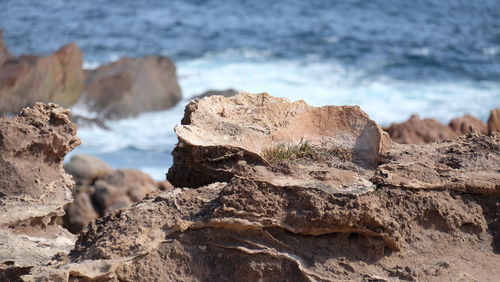 Rocks at sea shore