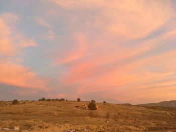 Scenic view of field against sky during sunset