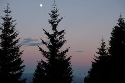 Low angle view of silhouette trees against sky