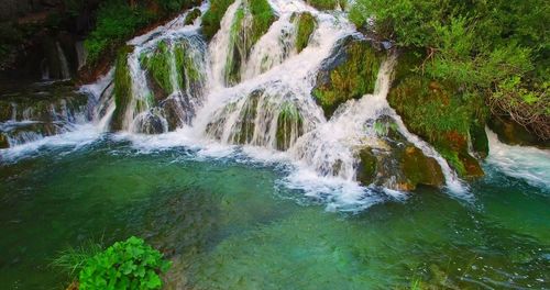 Scenic view of waterfall in forest