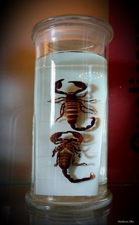 Close-up of drink in glass jar on table