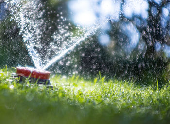 Water splashing on field