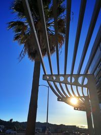 Low angle view of palm trees against blue sky