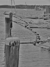 Wooden pier in sea