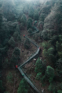 High angle view of railroad tracks amidst trees in forest