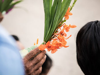 Close-up of hand holding flowers