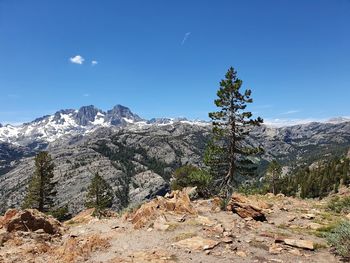 Scenic view of landscape against blue sky