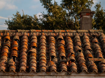 High angle view of various food on roof