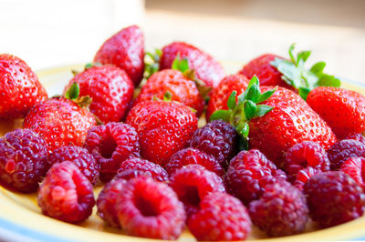 Close-up of strawberries in plate