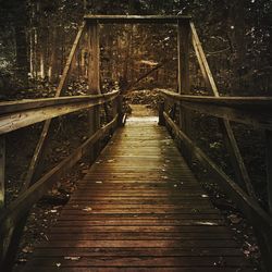 Footbridge over river