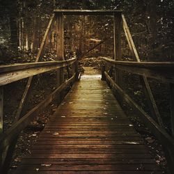 Footbridge over river