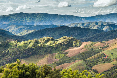 Scenic view of landscape and mountains against sky