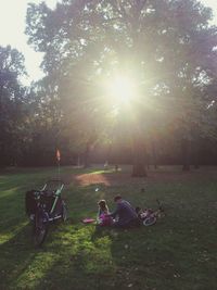 People sitting on grassy field