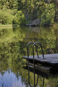 Scenic view of lake in forest